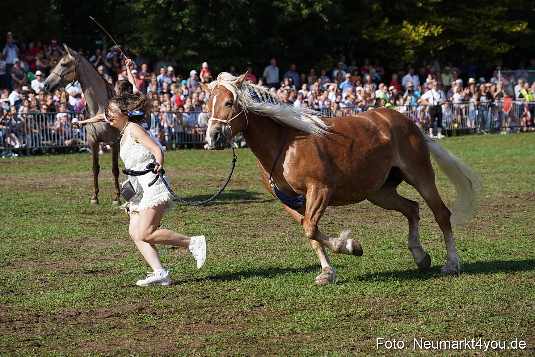 Pferde und Fohlenschau 2022 0156 